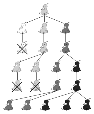 자연선택에 의한 진화